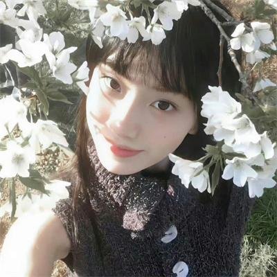 灌篮高手